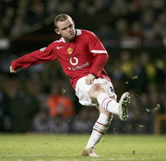 他们极有可 他们极有可